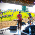 Uncovering the Vibrant Festival Scene in Kent County, Michigan