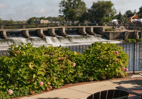 Uncovering the Diverse Vendors at Festivals in Kent County, Michigan