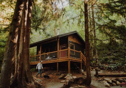Exploring the Best Camping Options for Festivals in Kent County, Michigan